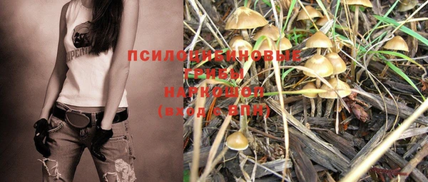 дурь Магас