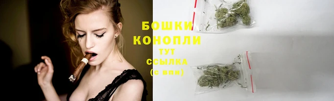 дурь Магас