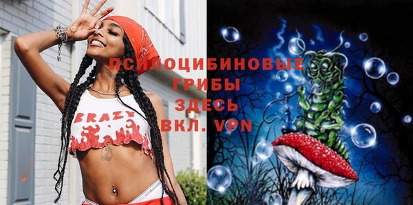 дурь Магас