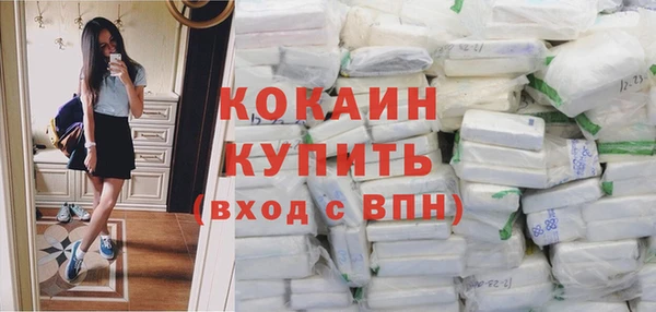 дурь Магас