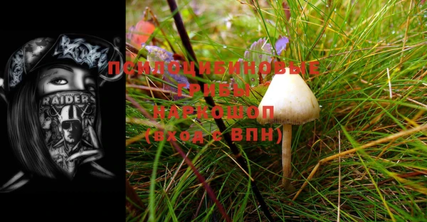дурь Магас